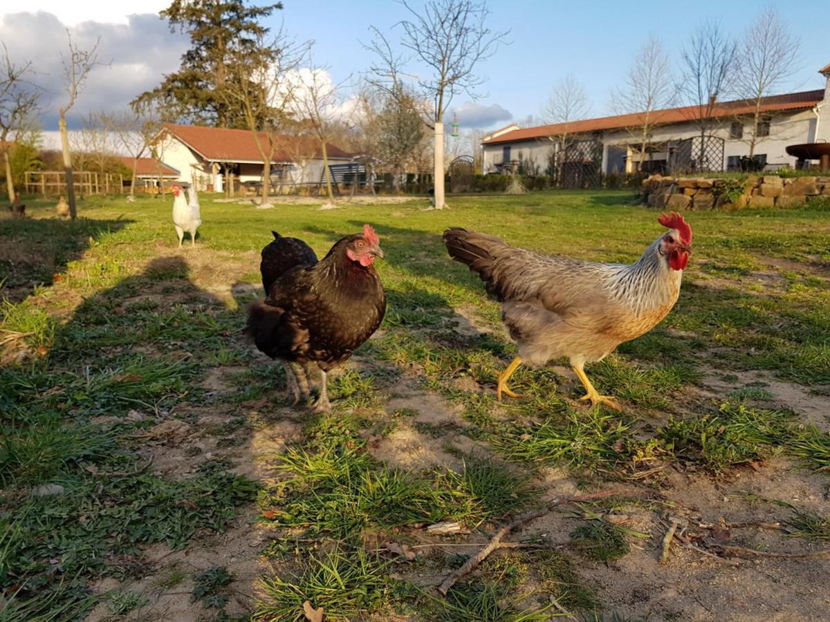 Chateau Des Perichons Poncins Buitenkant foto
