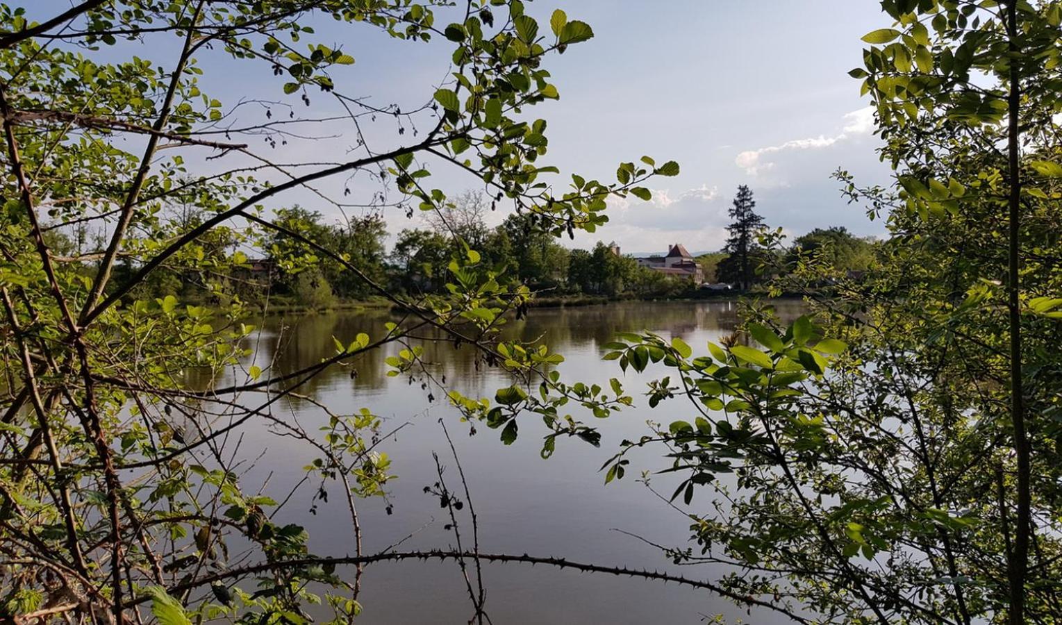 Chateau Des Perichons Poncins Buitenkant foto