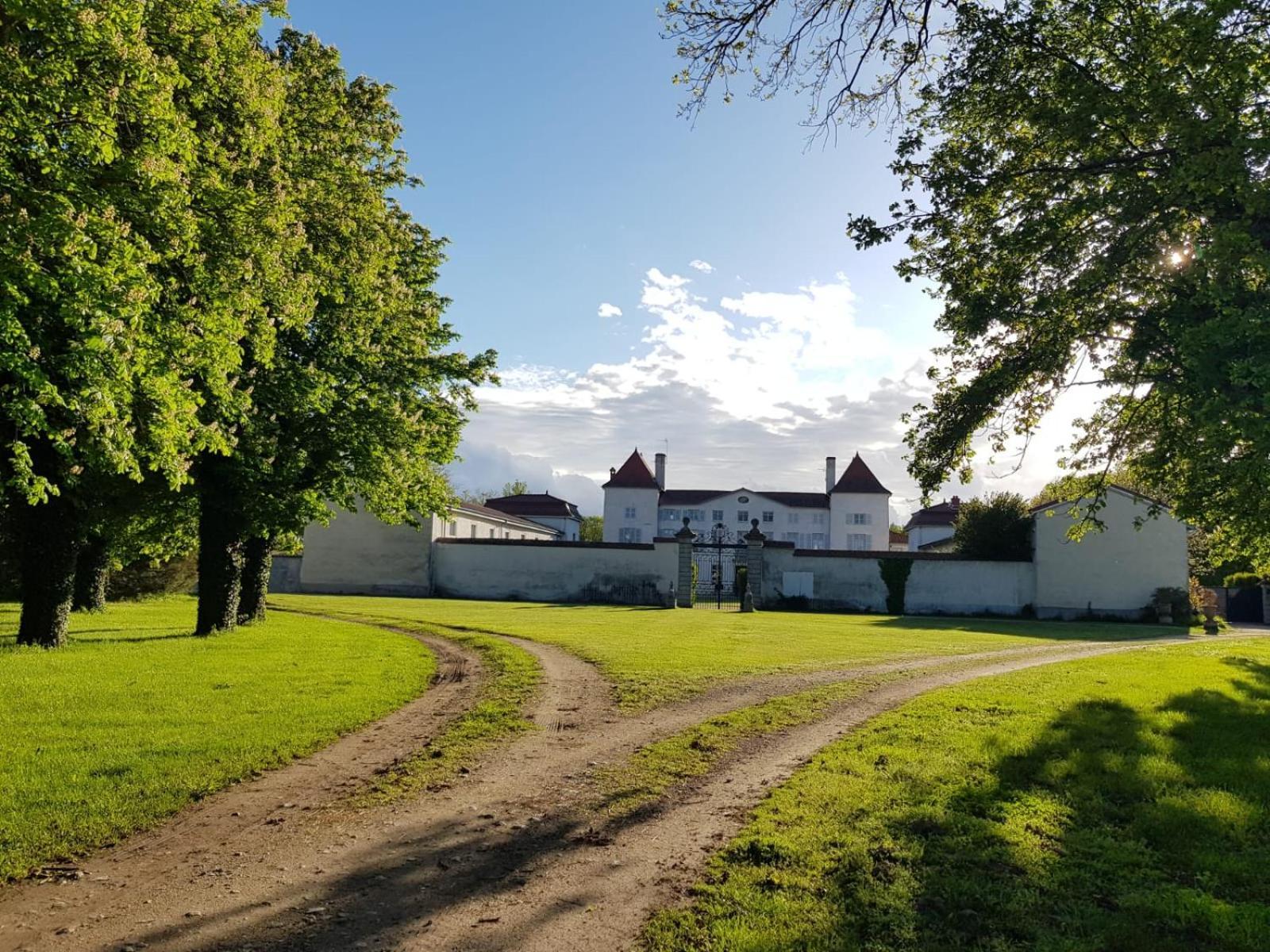 Chateau Des Perichons Poncins Buitenkant foto